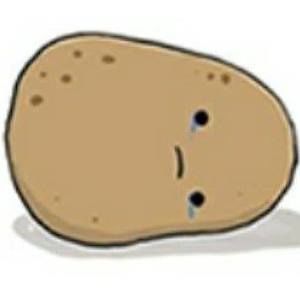 Meet your Posher, Rosa